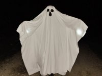 6 trouilles Cathy-55